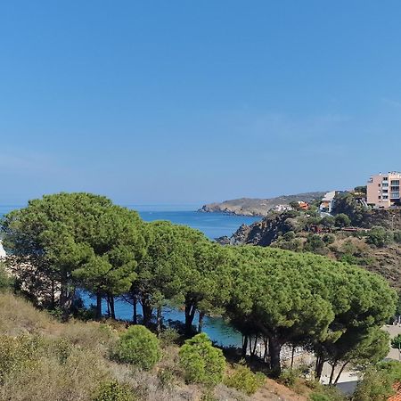 Appartement Avec Terrasse, Wifi, Parking Prive, A 2Min De La Plage Des Elmes - Banyuls-Sur-Mer - Fr-1-309-130 外观 照片