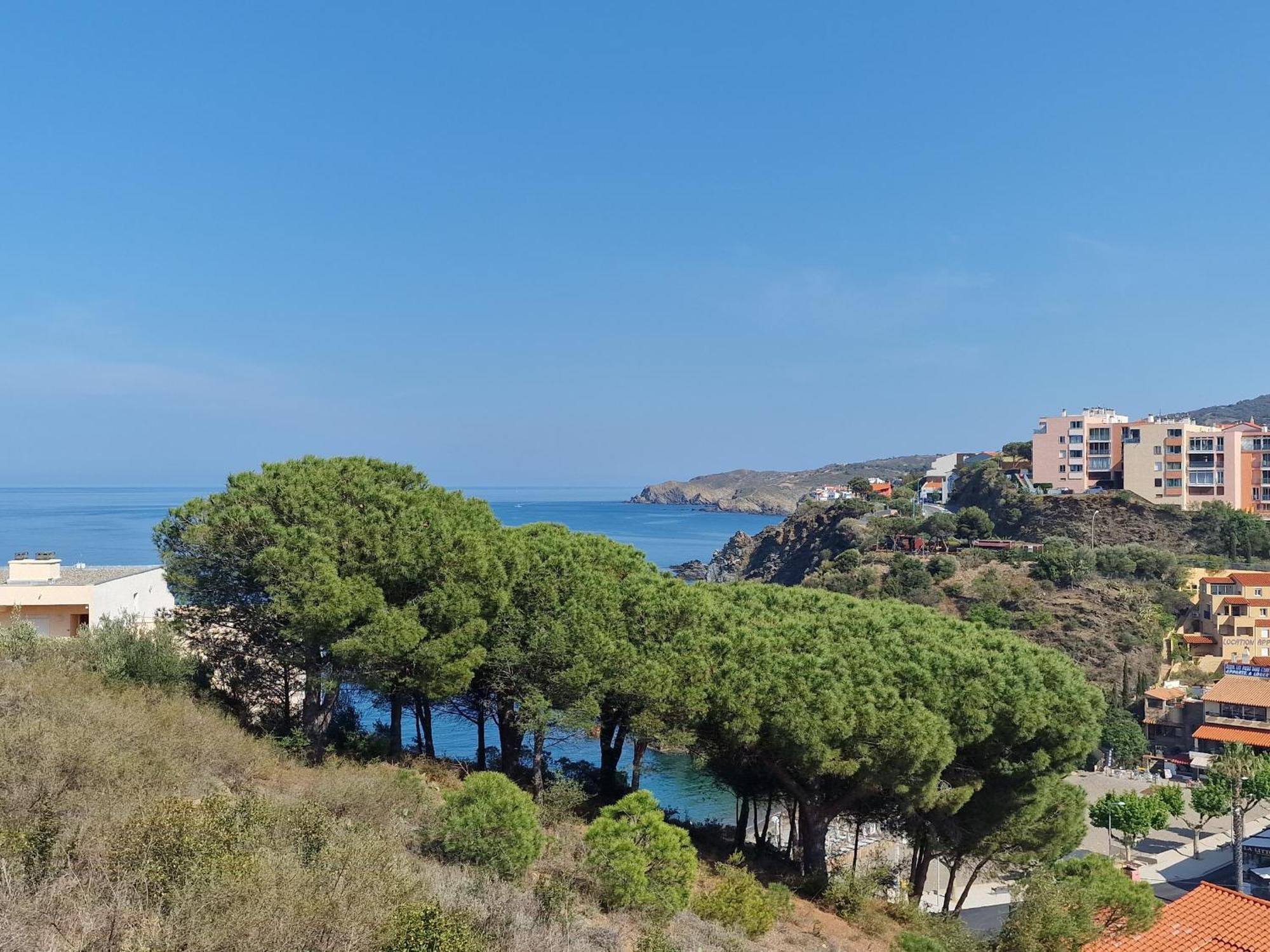 Appartement Avec Terrasse, Wifi, Parking Prive, A 2Min De La Plage Des Elmes - Banyuls-Sur-Mer - Fr-1-309-130 外观 照片